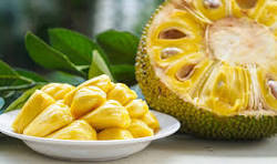 Jackfruit: The Giant Tropical Wonder