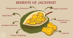 Jackfruit: The Giant Tropical Wonder