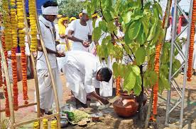 Sarhul Puja: A Celebration of Nature, Community, and Renewal