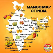 Mango: The King of Fruits