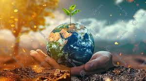 SUMMER  INTRIDUCTION